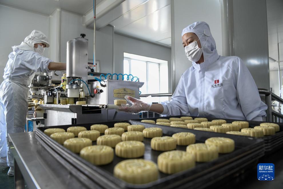 白菜注册验证手机号领